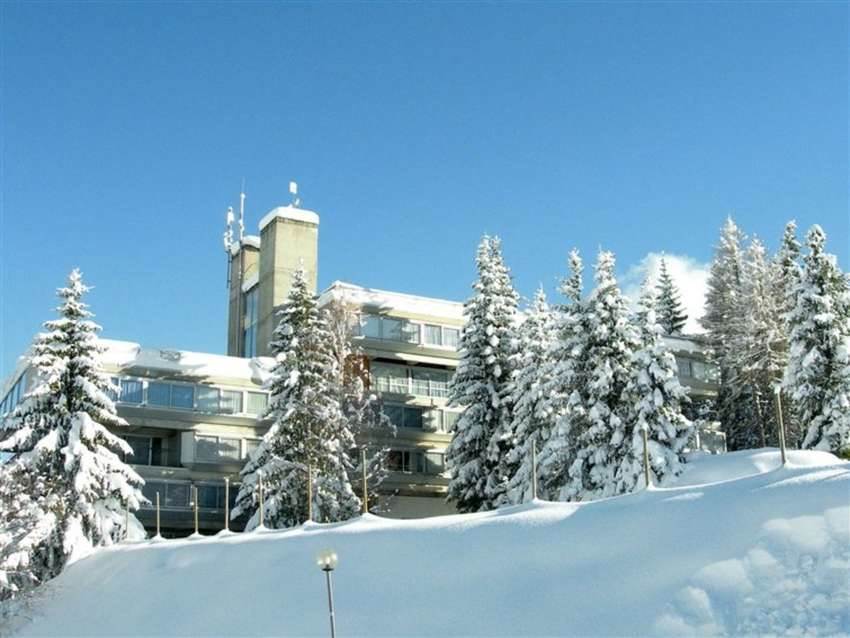 Photo 4